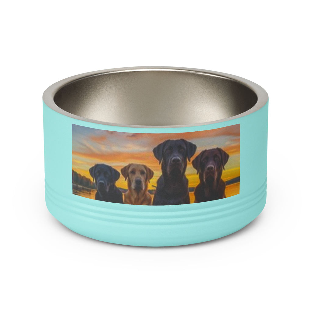 18oz Pet Bowl — Playful Diving Cat & Labradors  Design Stainless Steel Water & Food Dish