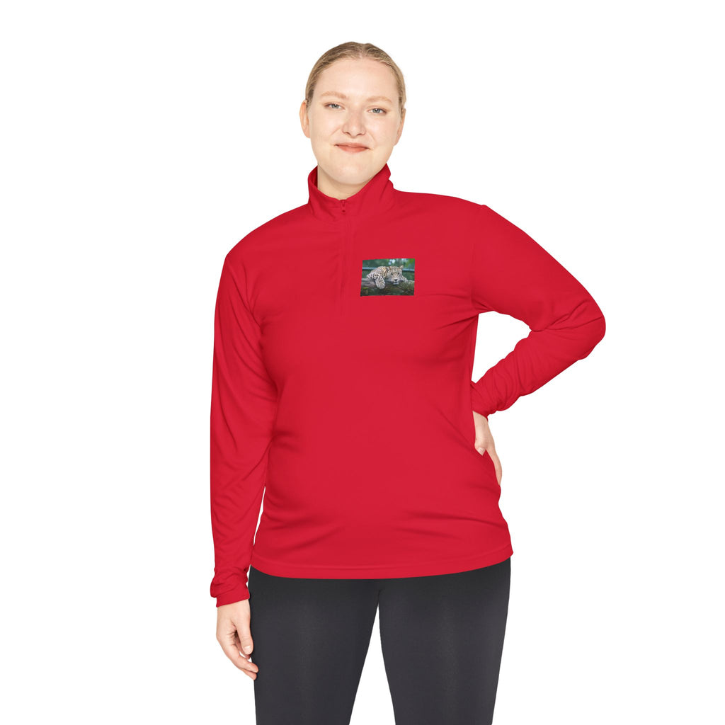 Dog Walk Sunset Quarter-Zip Pullover