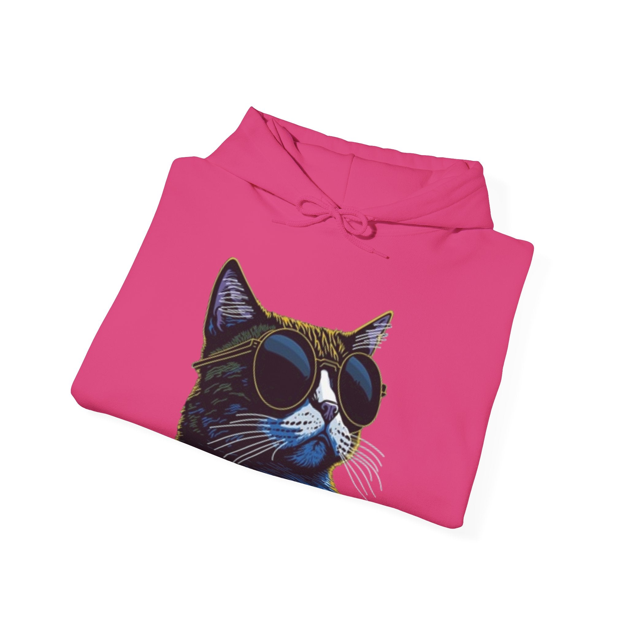 Cat Graphic Hoodie - Retro Sunglasses Cat Front & Colorful Cat Pattern Back Sweatshirt