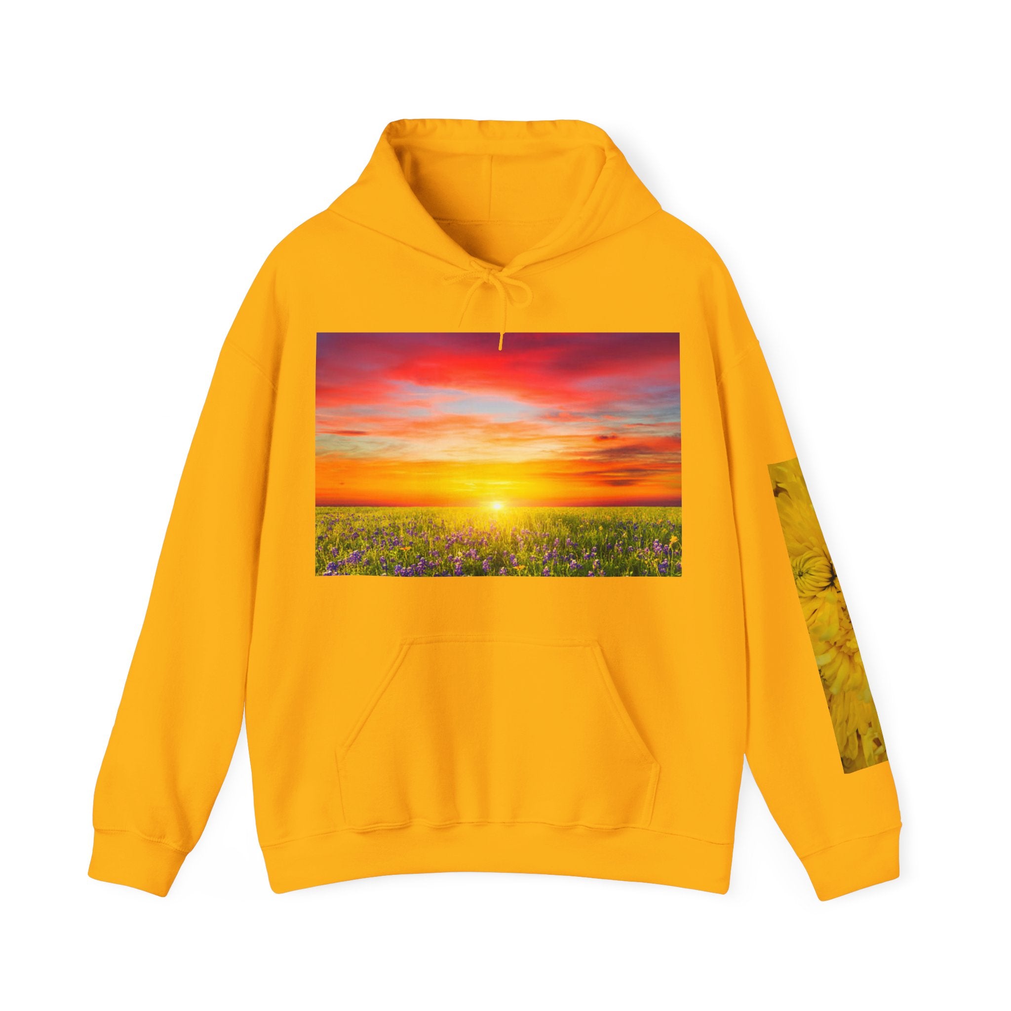 Sunrise Meadow & Horse Graphic Hoodie — Scenic Sunset Landscape and Saddled Horse Print
