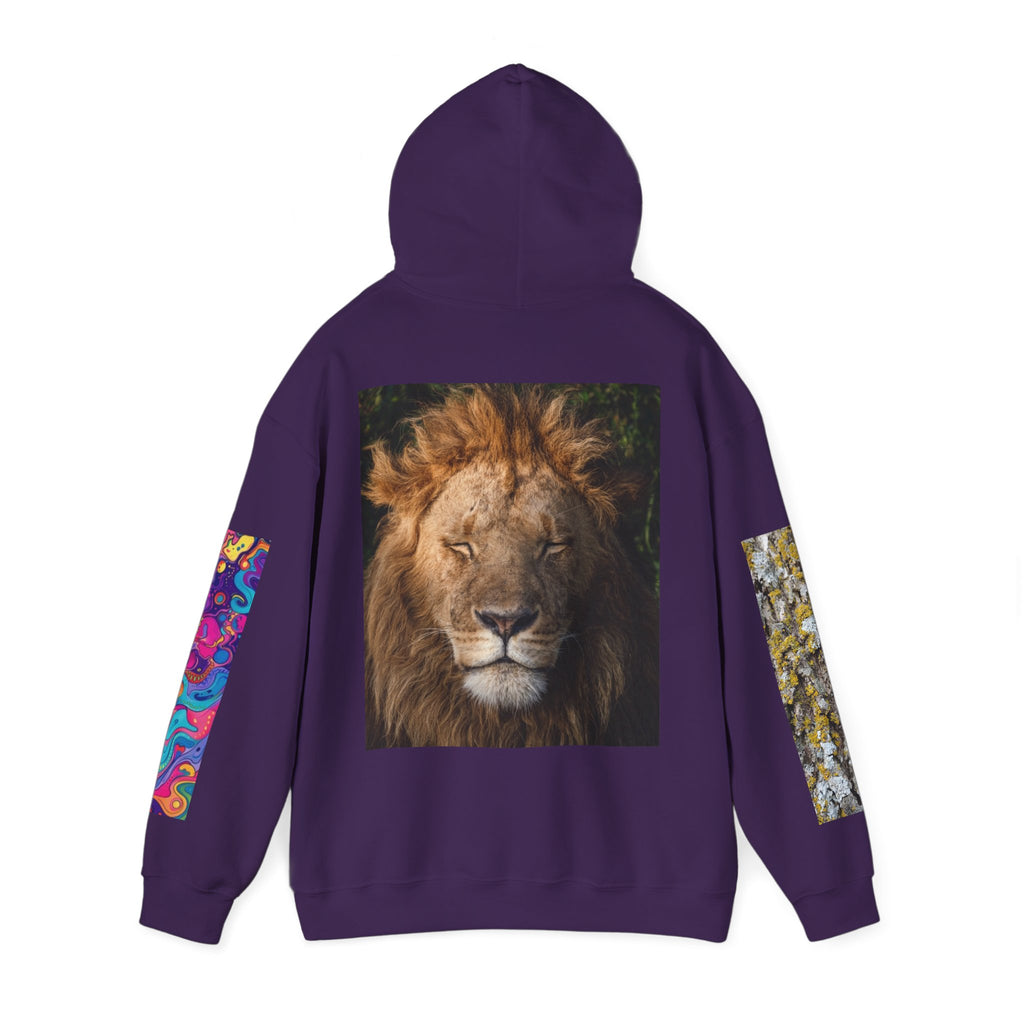 Lion Portrait Hoodie with Colorful Sleeve Accent — Majestic Wildlife Pullover
