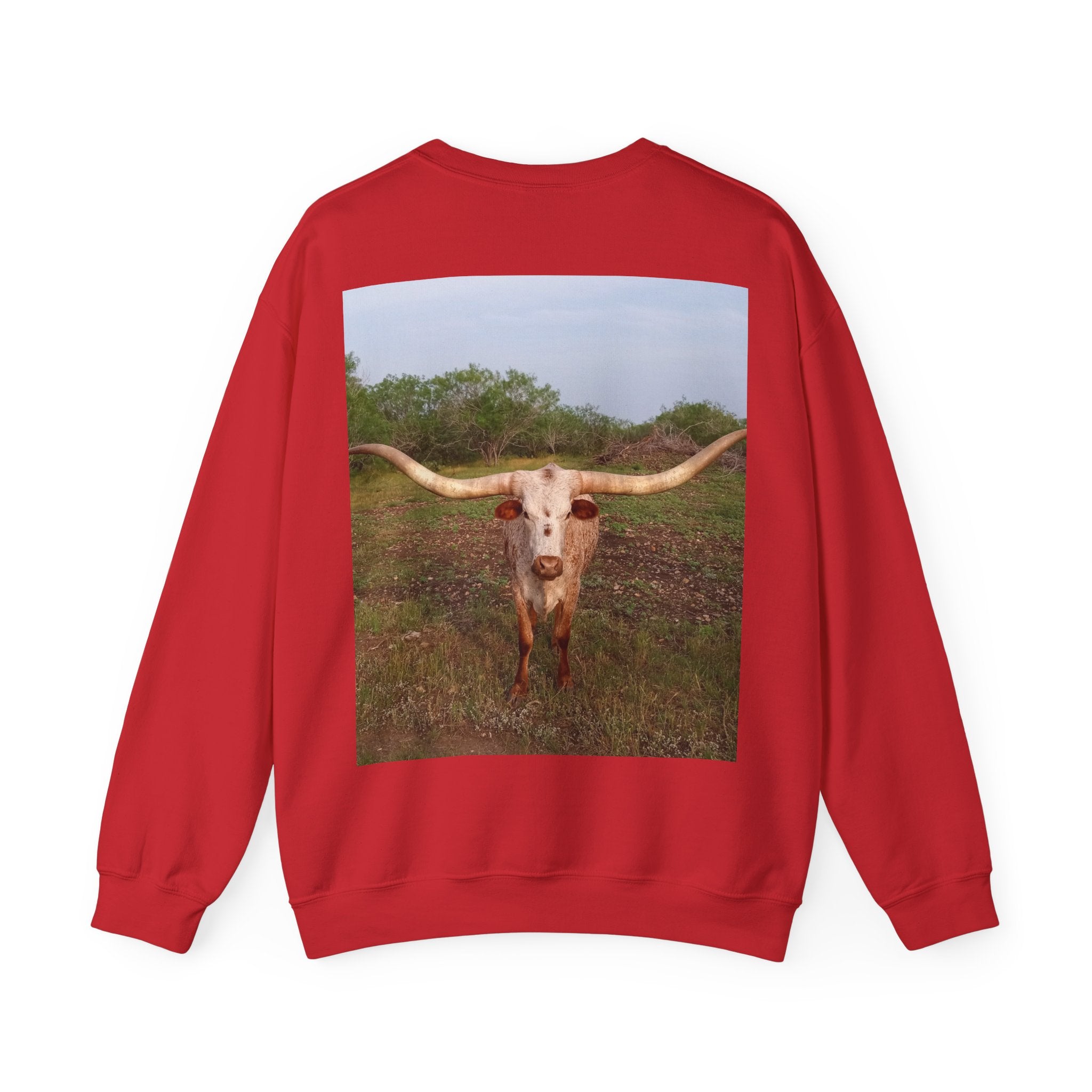 American Flag Crewneck Sweatshirt & Texas Longhorn  — Distressed Watercolor USA Graphic