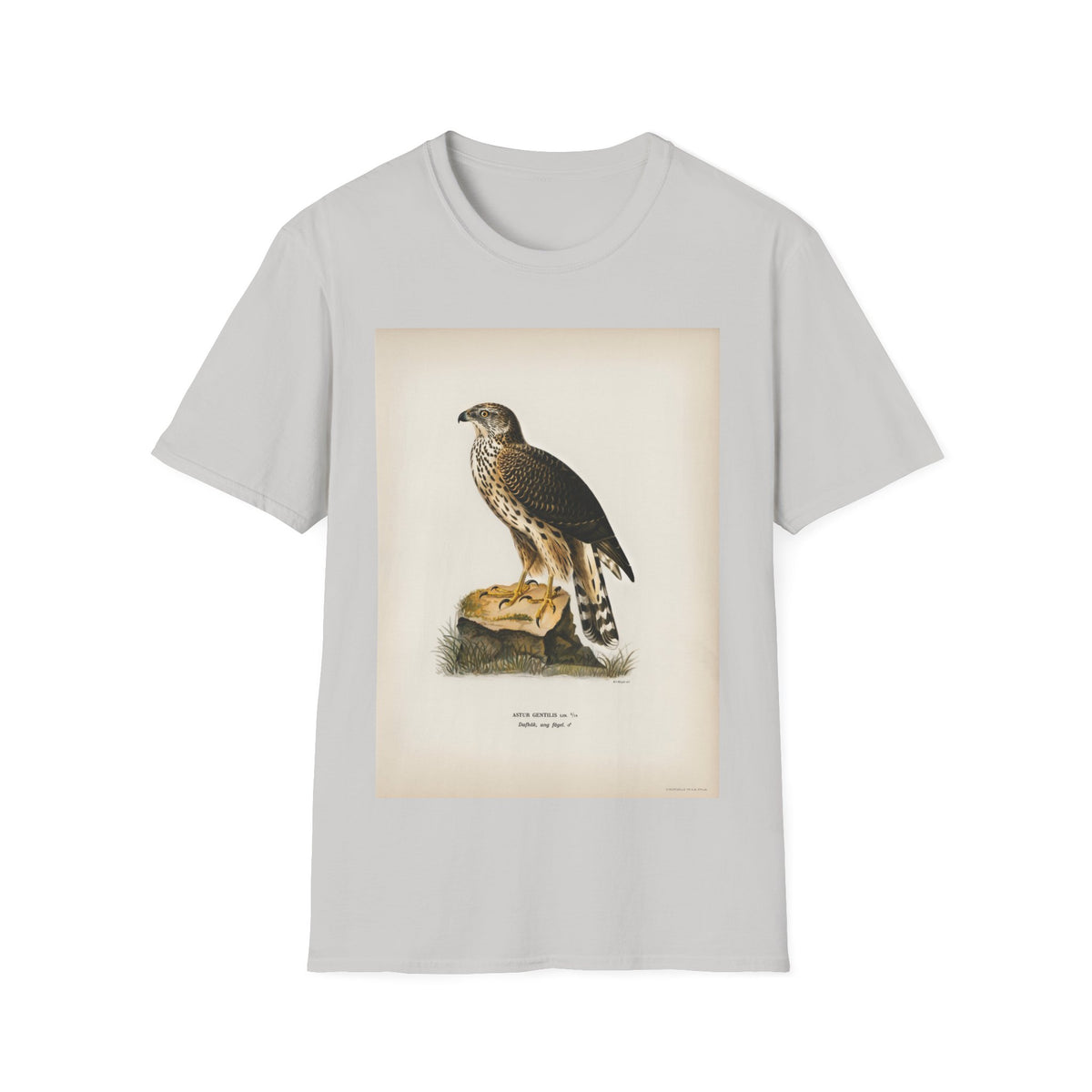 Falcon Illustration T-Shirt — Vintage Bird Print Graphic Tee