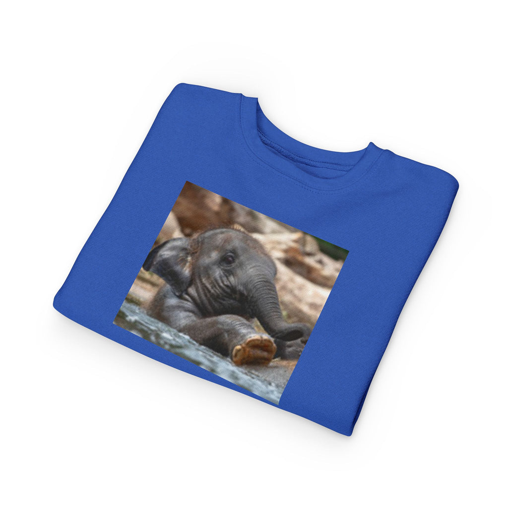 Toddler Sweatshirt - Cute Baby Elephant Nap Photo Sweatshirt for Kids