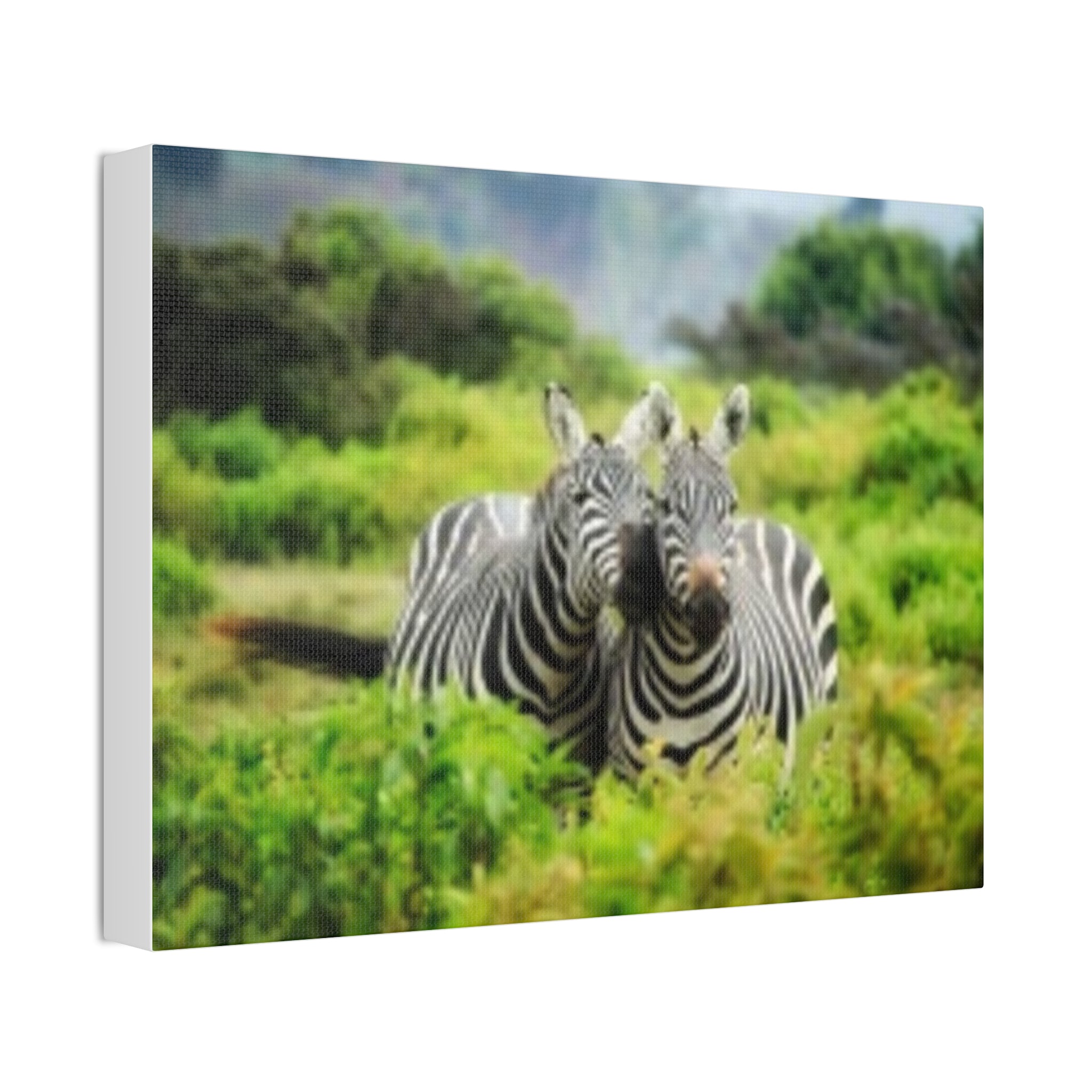 Zebra Pair Canvas Print - Stretched 1.5" Wildlife Wall Art