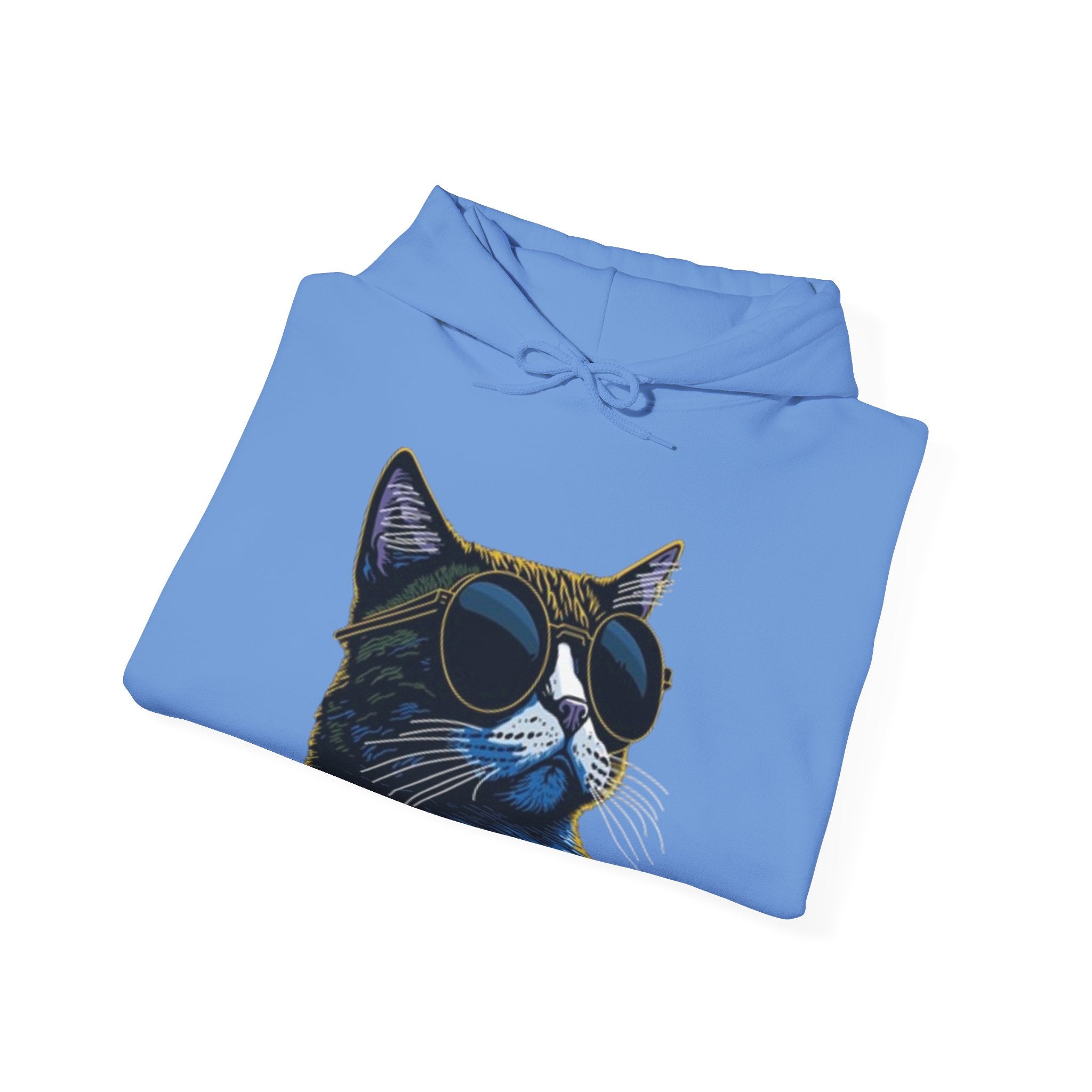 Cat Graphic Hoodie - Retro Sunglasses Cat Front & Colorful Cat Pattern Back Sweatshirt