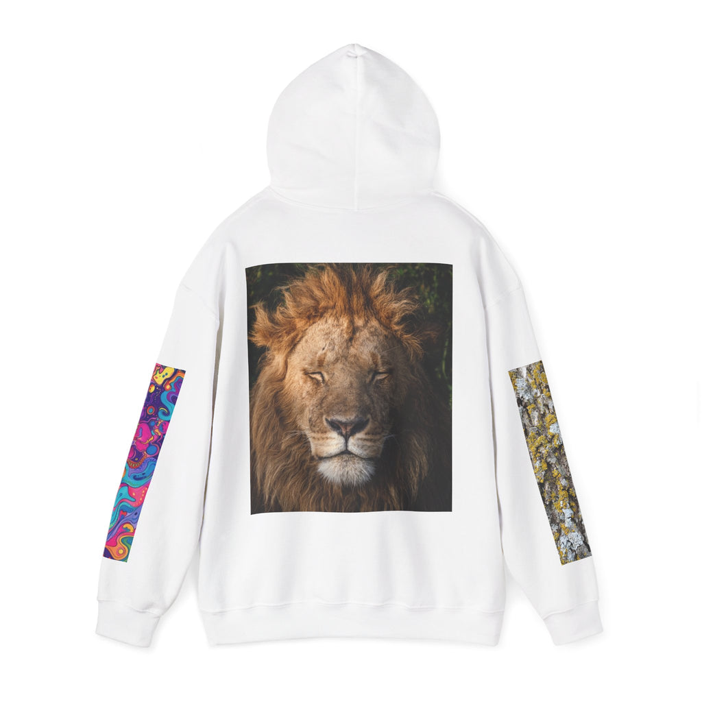 Lion Portrait Hoodie with Colorful Sleeve Accent — Majestic Wildlife Pullover