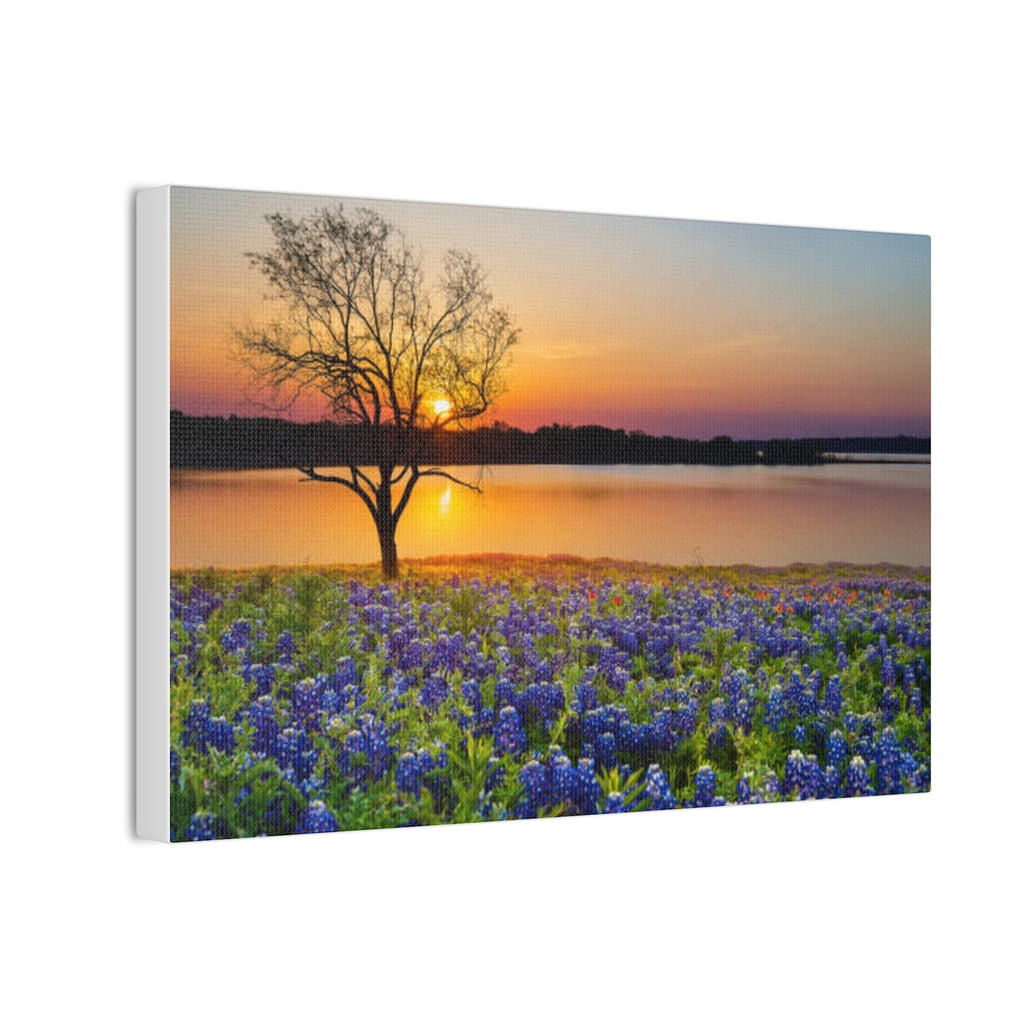 Canvas Wall Art - Bluebonnet Sunrise Landscape