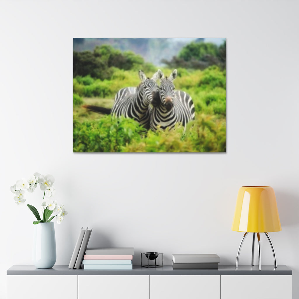 Zebra Pair Canvas Print - Stretched 1.5" Wildlife Wall Art