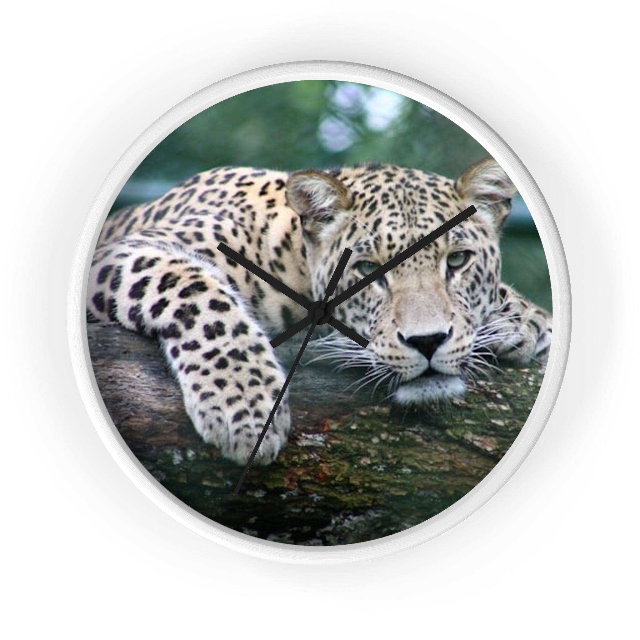 Leopard Wall Clock — Relaxed Wild Cat Photo Clock for Safari-Lodge Decor