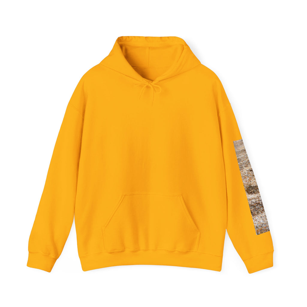Mushroom Friends Hoodie — Cute Colorful Fungi Illustration Pullover
