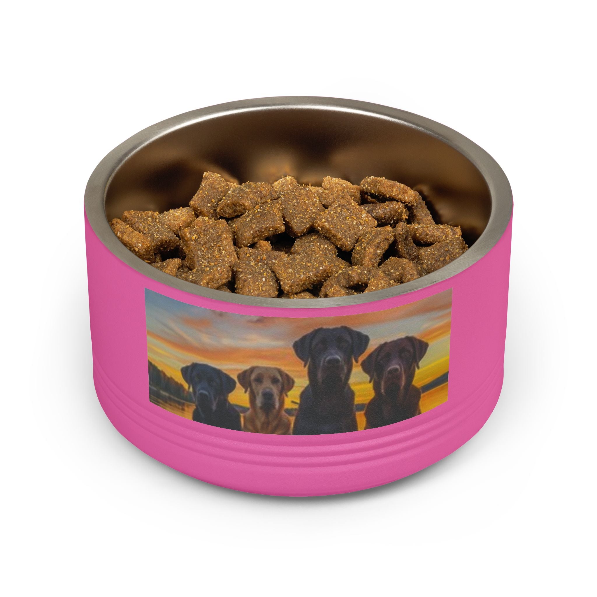 18oz Pet Bowl — Playful Diving Cat & Labradors  Design Stainless Steel Water & Food Dish