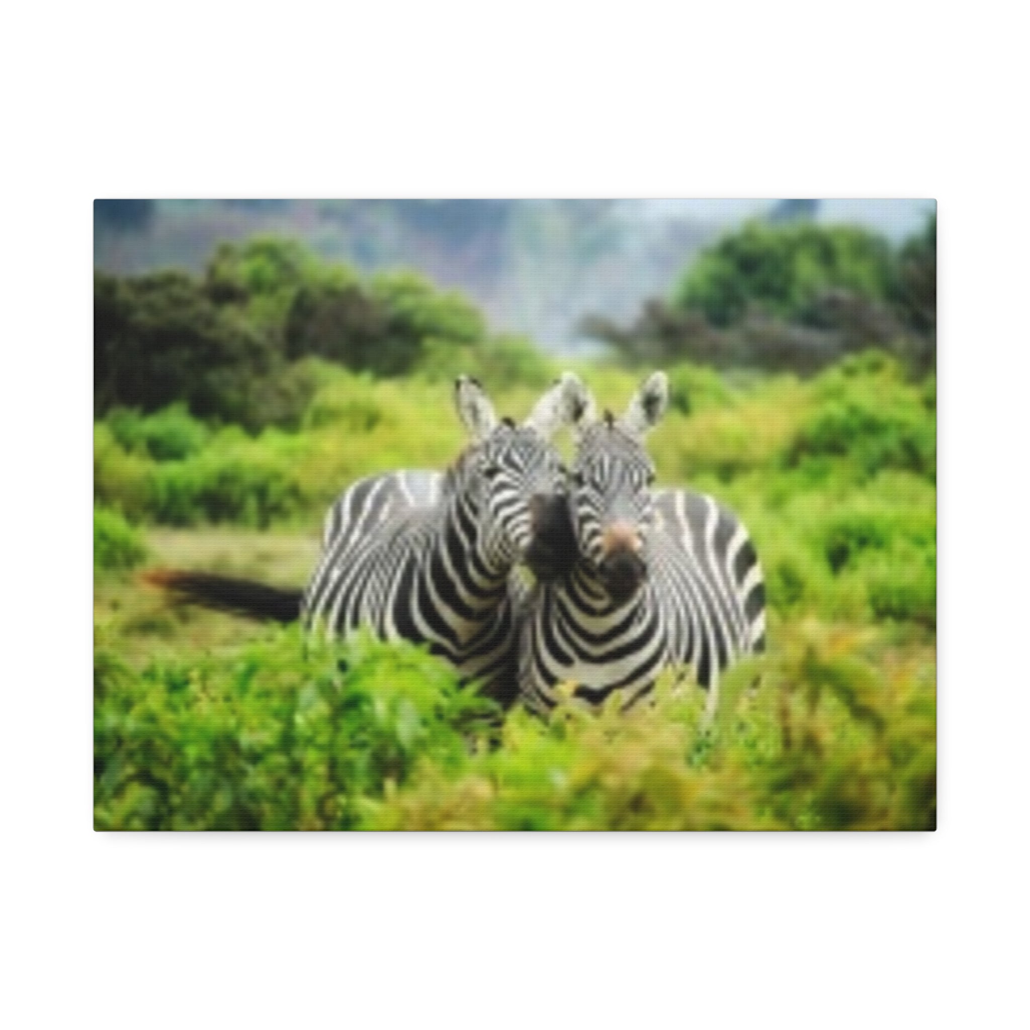 Zebra Pair Canvas Print - Stretched 1.5" Wildlife Wall Art
