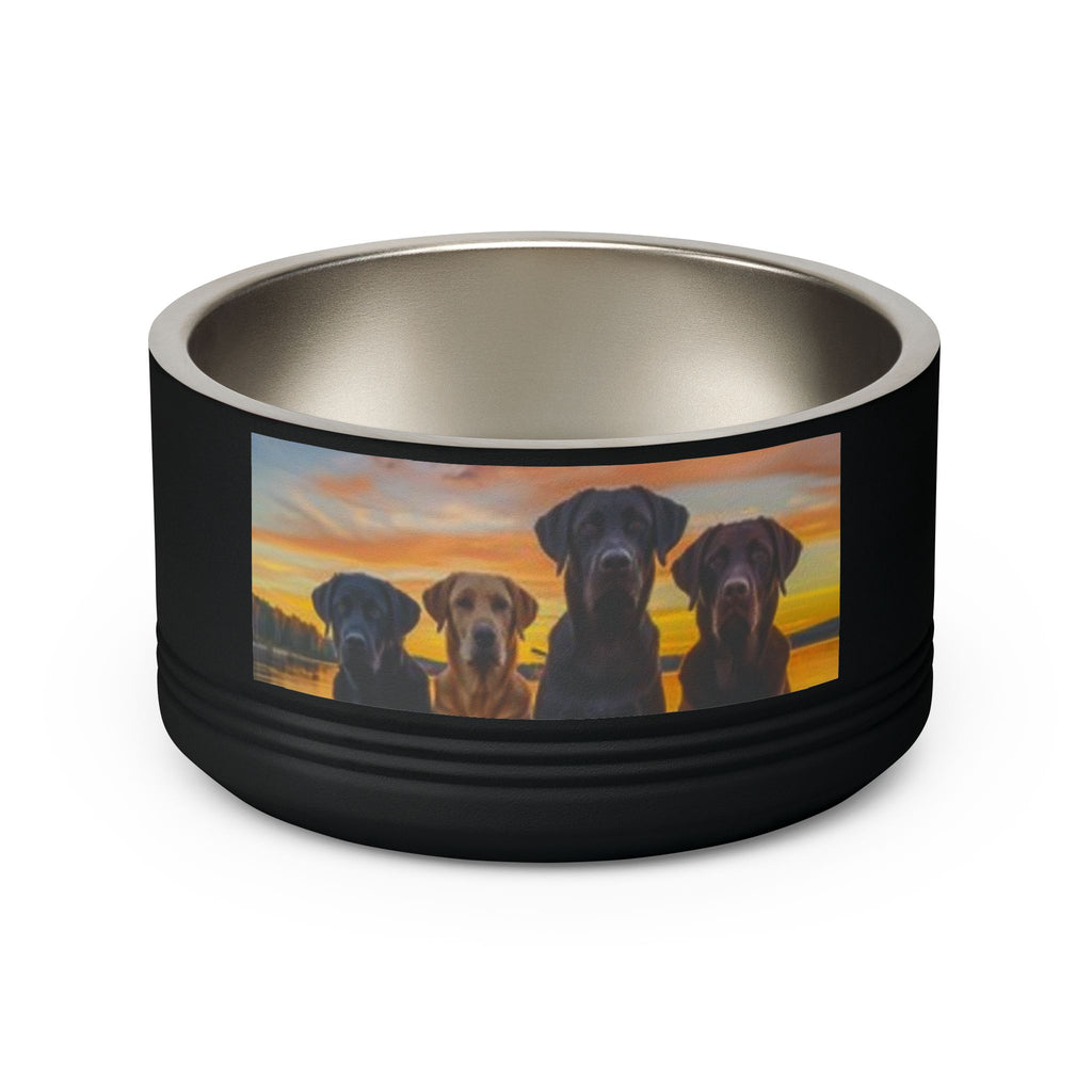 18oz Pet Bowl — Playful Diving Cat & Labradors  Design Stainless Steel Water & Food Dish