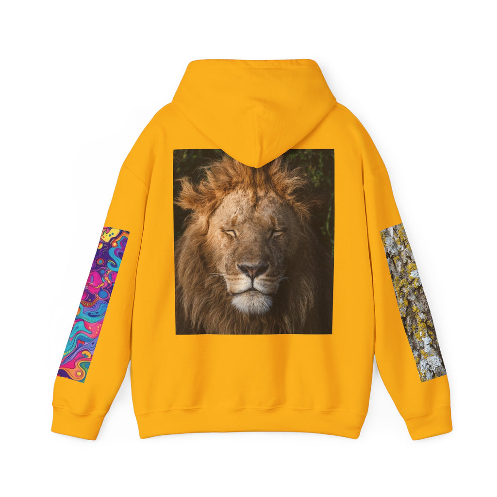 Lion Portrait Hoodie with Colorful Sleeve Accent — Majestic Wildlife Pullover