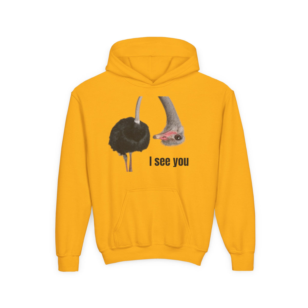 Youth Hoodie – Cute Ostrich I See You Pullover