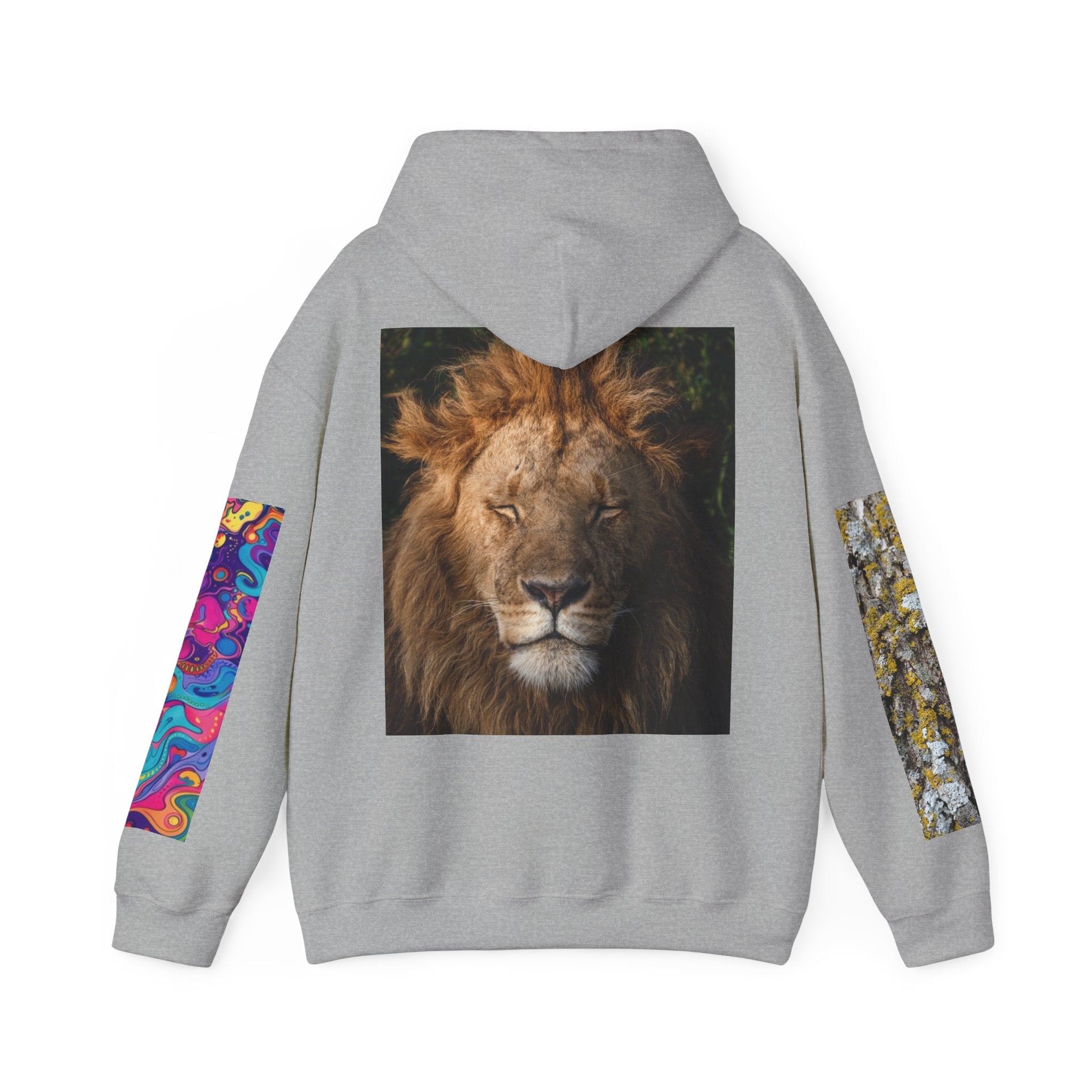 Lion Portrait Hoodie with Colorful Sleeve Accent — Majestic Wildlife Pullover