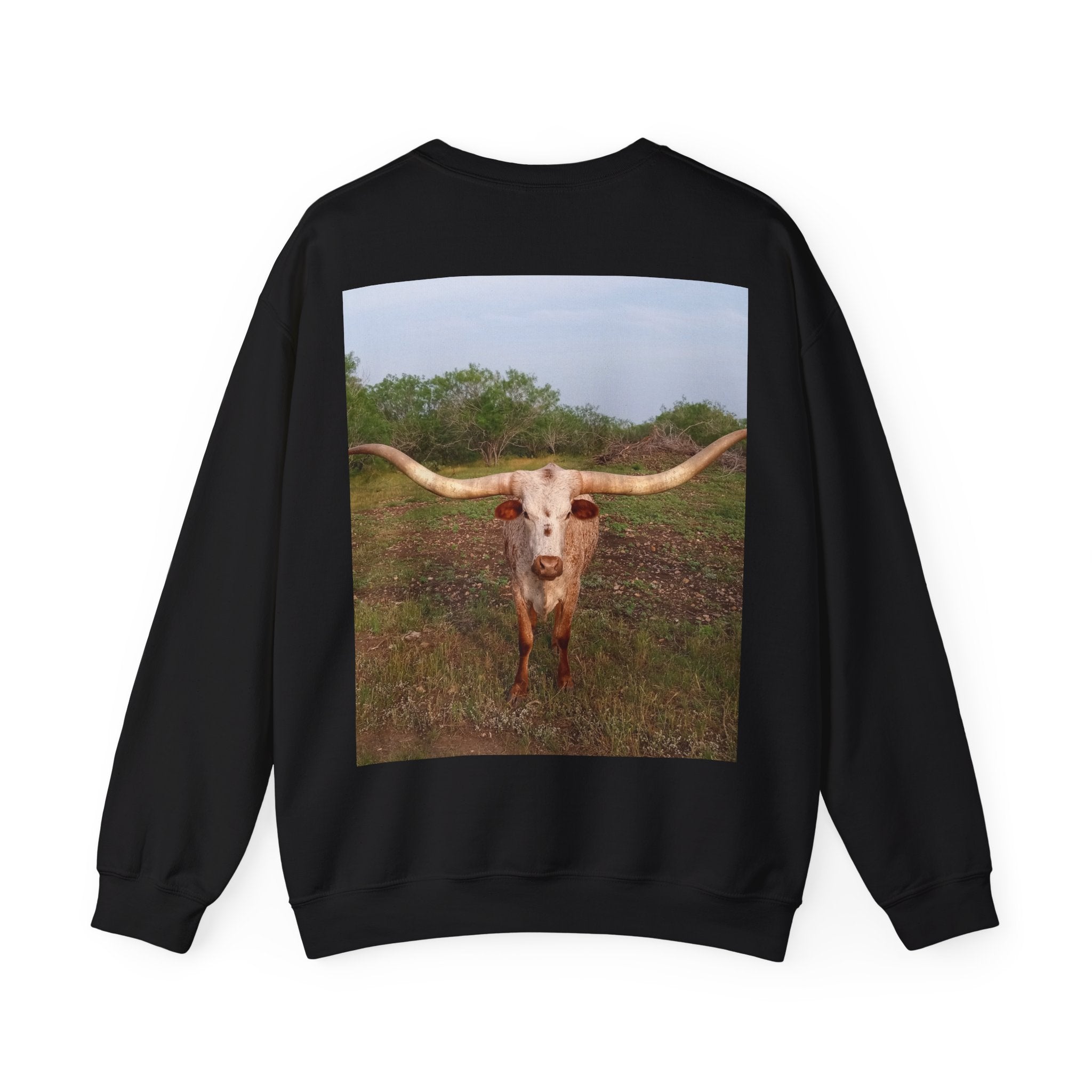 American Flag Crewneck Sweatshirt & Texas Longhorn  — Distressed Watercolor USA Graphic