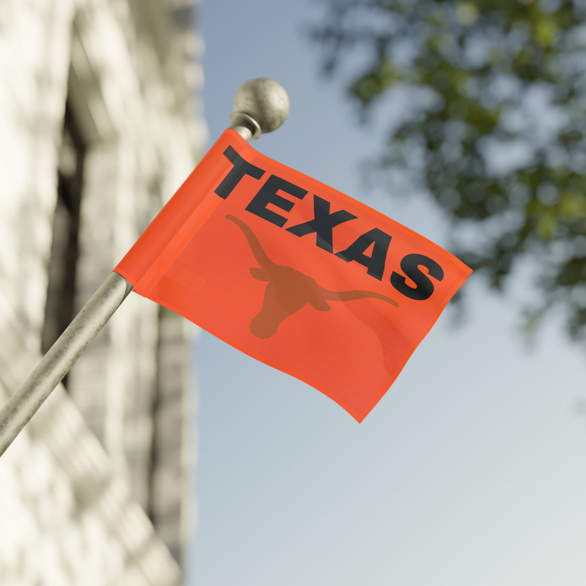 Texas Text Flag~Longhorn — Bold Retro State Pride Flag