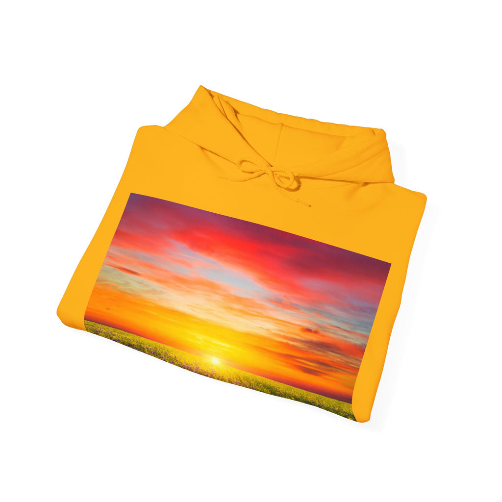 Sunrise Meadow & Horse Graphic Hoodie — Scenic Sunset Landscape and Saddled Horse Print