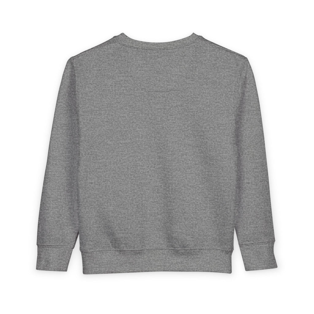 Toddler Sweatshirt - Cute Teddy Bear Nursery Pullover