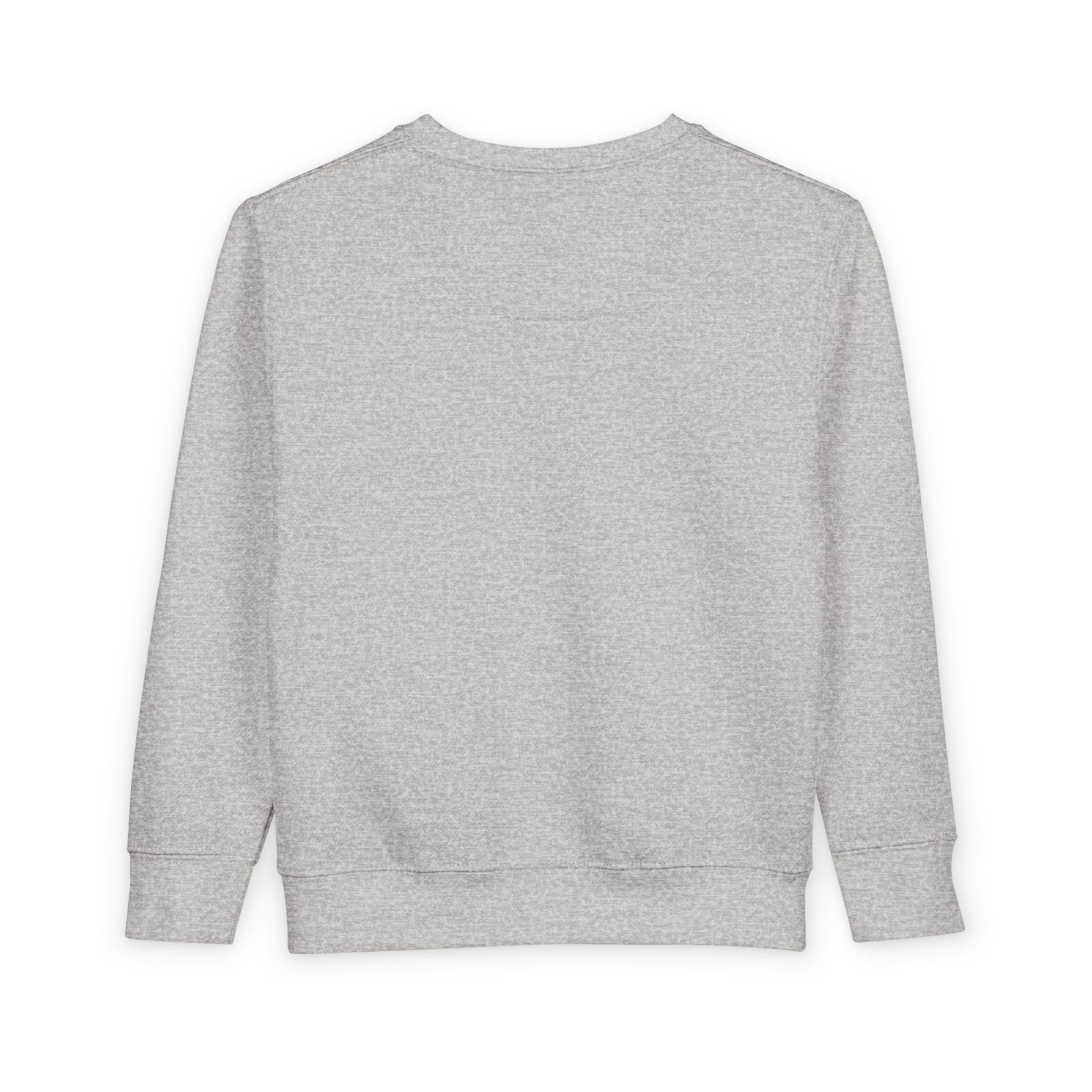 Toddler Sweatshirt - Cute Baby Elephant Nap Photo Sweatshirt for Kids