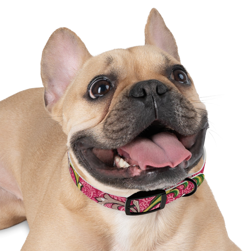 Floral Paisley Dog Collar — Pink Vintage Swirl Pattern