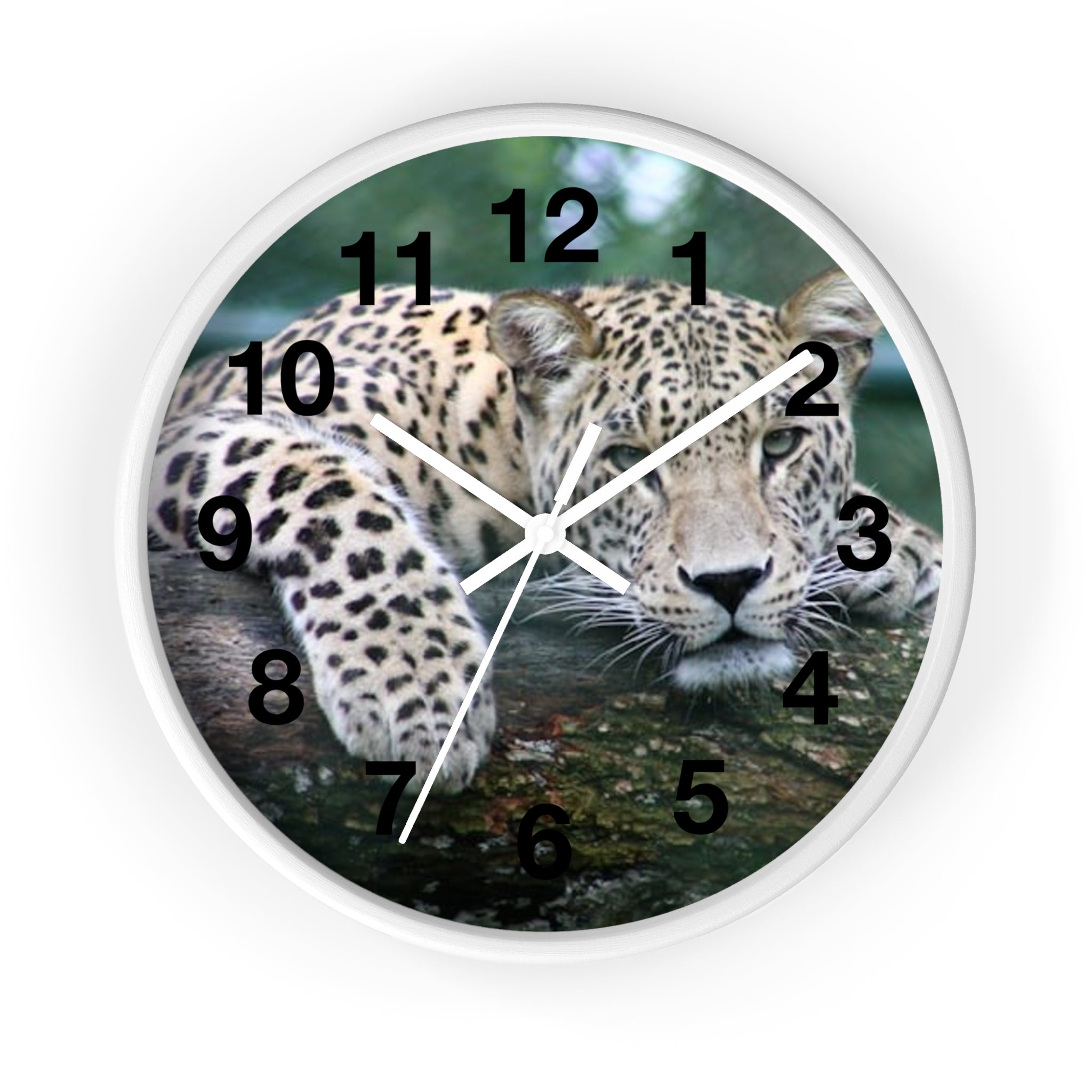 Leopard Wall Clock — Relaxed Wild Cat Photo Clock for Safari-Lodge Decor