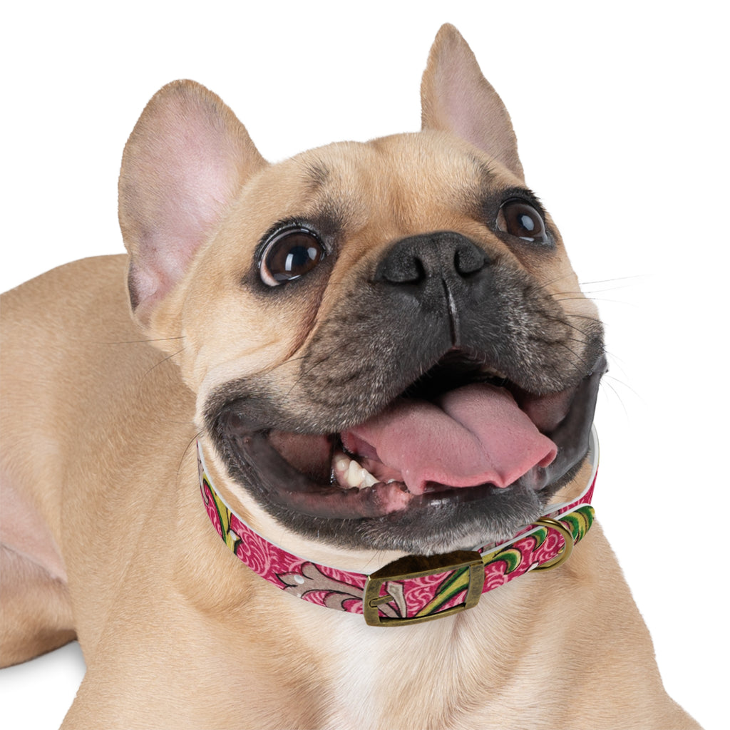 Floral Paisley Dog Collar — Pink Vintage Swirl Pattern