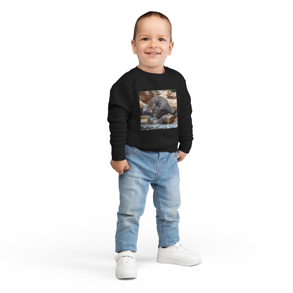 Toddler Sweatshirt - Cute Baby Elephant Nap Photo Sweatshirt for Kids