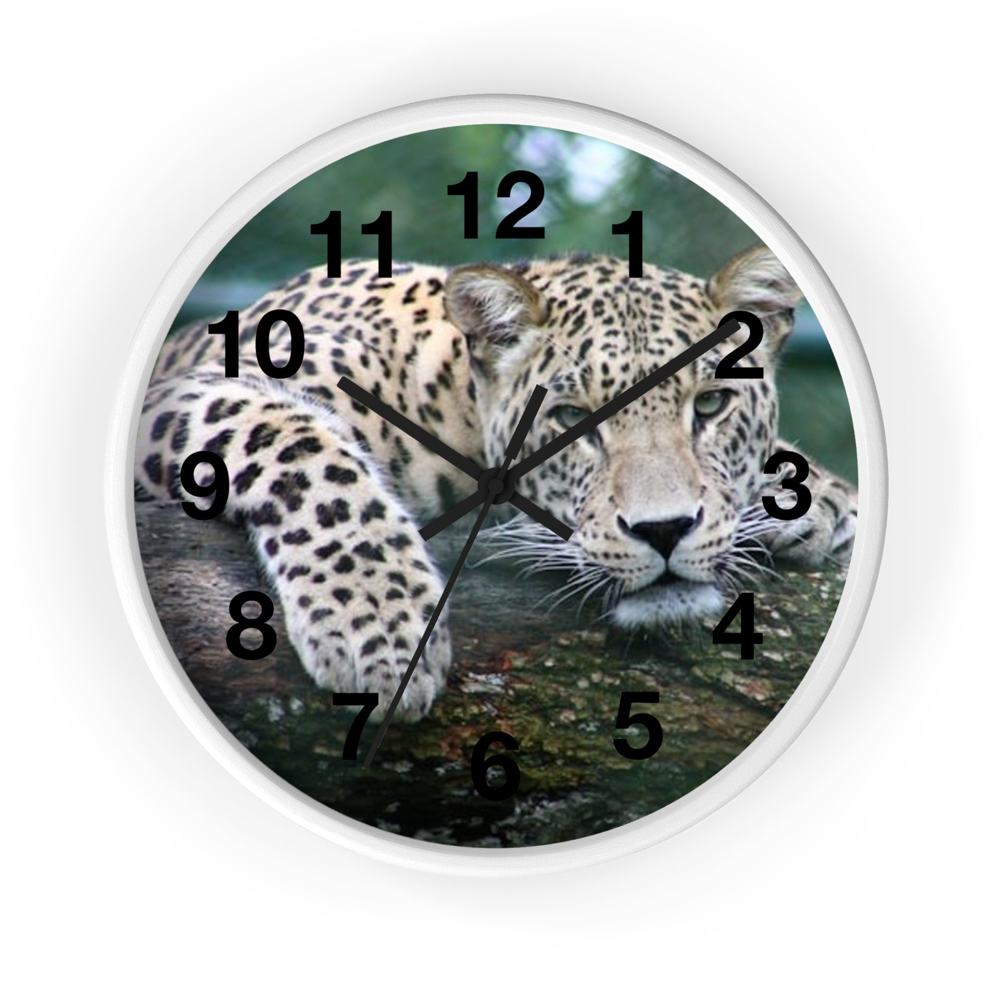 Leopard Wall Clock — Relaxed Wild Cat Photo Clock for Safari-Lodge Decor