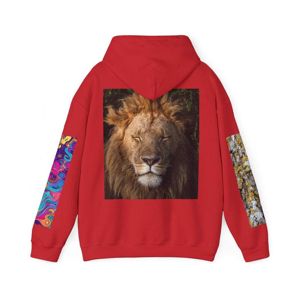 Lion Portrait Hoodie with Colorful Sleeve Accent — Majestic Wildlife Pullover