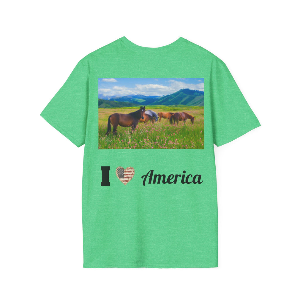 Patriotic Eagle T-Shirt — American Flag Bald Eagle I Love America!