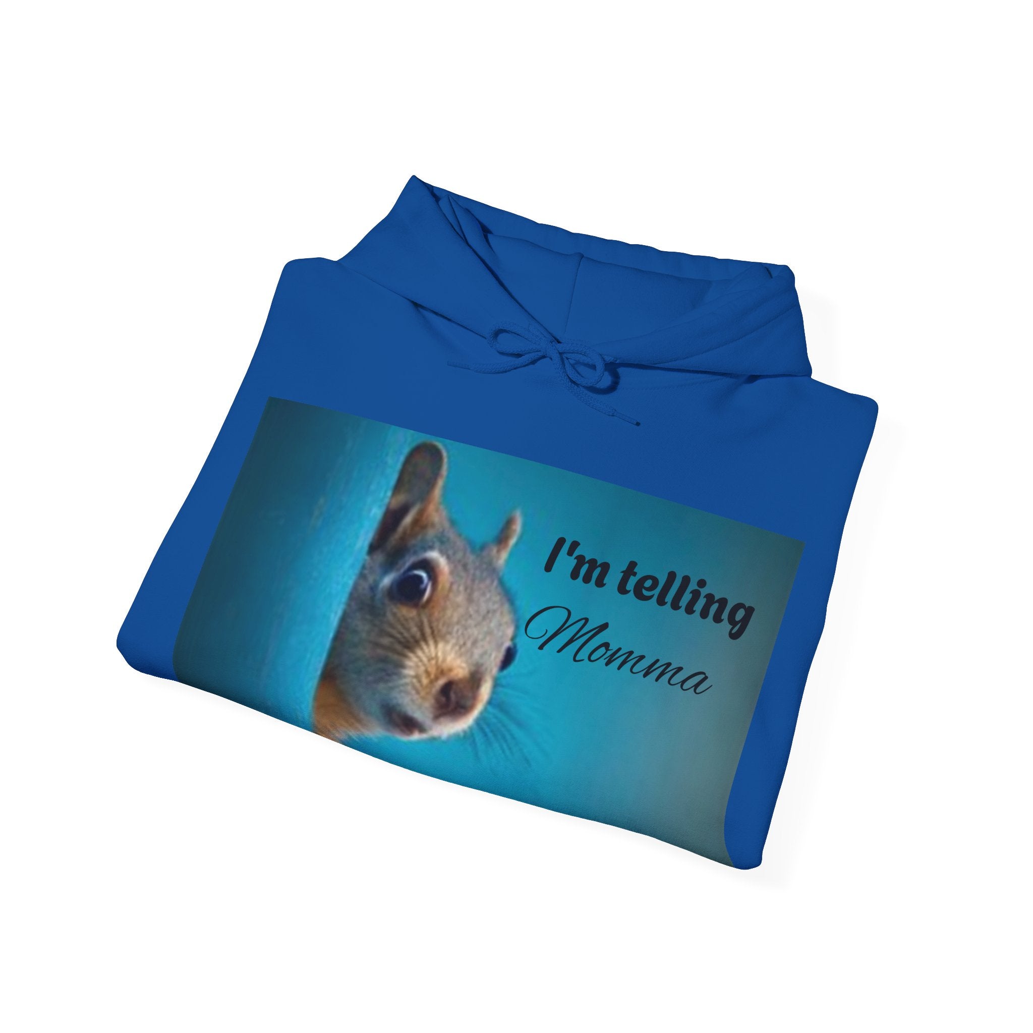 Squirrel I'm Telling Momma Mushrooms Hooded Sweatshirt