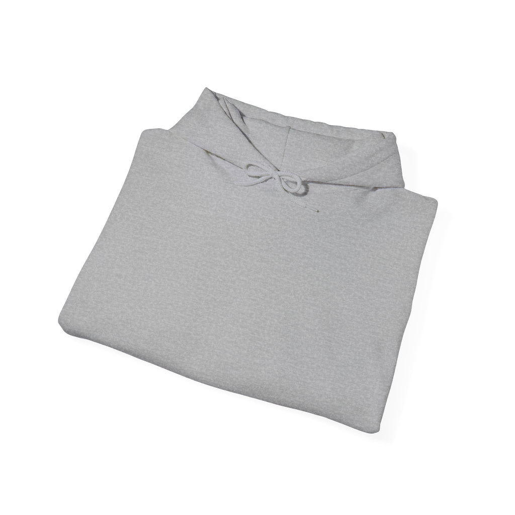 Dollar Sign Hoodie — Graphic Back Logo Streetwear Sweatshirt